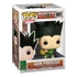 Kép 1/2 - Hunter x Hunter POP! Animation Vinyl Figure Gon Freecss Jajanken 9 cm_fk45062