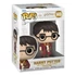Kép 1/2 - Harry Potter Chamber of Secrets Anniversary Funko POP! Vinyl Figura – Harry 9 cm