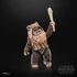 Kép 3/5 - Star Wars Episode VI 40th Black Series Deluxe Akciófigura - Wicket 15 cm
