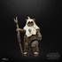 Kép 2/4 - Star Wars Episode VI 40th Black Series Deluxe Akciófigura - Paploo 15 cm