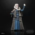 Kép 3/4 - Star Wars Episode VI 40th Black Series Deluxe Akciófigura - Bib Fortuna 15 cm