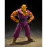 Kép 1/3 - Dragon Ball: Super: Super Hero S.H. Figuarts Akciófigura - Orange Piccolo 19 cm