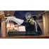 Kép 7/7 - The Great Ace Attorney Chronicles