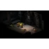 Kép 3/9 - FINAL FANTASY TACTICS - The Ivalice Chronicles